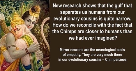 Empathy No Longer Divides Humans And Chimps. What Now? | Empathy and Animals | Scoop.it