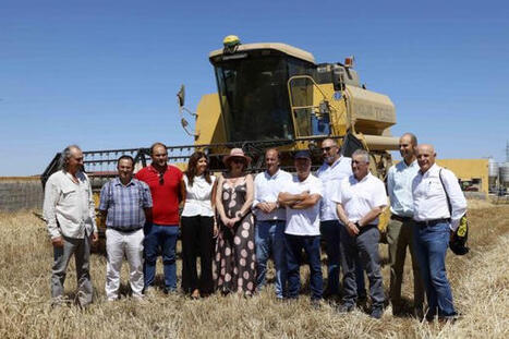 Cereal harvest down by 42 % in Castilla y Le&oacute;n | MED-Amin network | Scoop.it