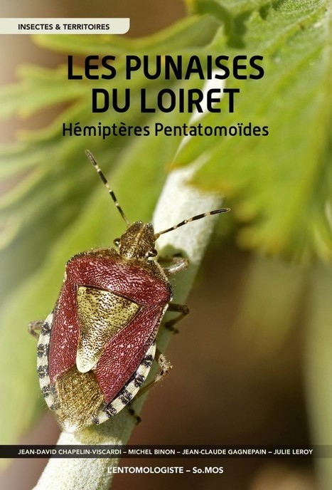 [Parution] Jean-David Chapelin-Viscardi, Michel Binon, Jean-Claude Gagnepain et Julie Leroy : Les Punaises du Loiret - H&eacute;mipt&egrave;res Pentatomo&iuml;des | Vari&eacute;t&eacute;s entomologiques | Scoop.it