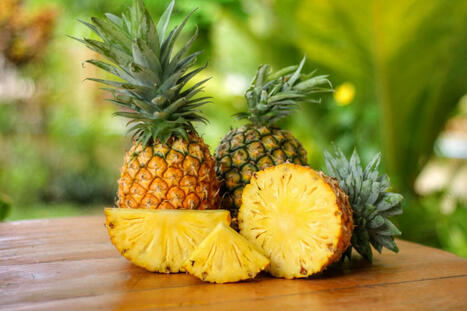 Pineapple: Benefits of This Juicy Fruit | Call: 915-850-0900 | Healthy Foods | Scoop.it