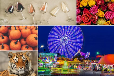 This Weekend in East Texas: Events You’ll Love | Industry 411 - Waste Management | Scoop.it