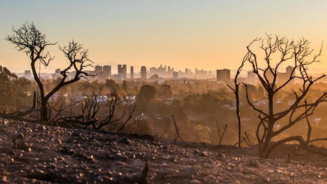Plants Are Losing Their Ability to Absorb Carbon Dioxide as Emissions Rise - EcoWatch.com | Operation Deimos | Scoop.it