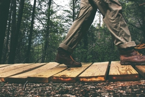 Why flat hierarchies just lead you up a blind alley – a long one | Learning and Working | Scoop.it