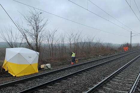 La circulation des trains TER fortement perturbée entre Mulhouse et Colmar après un nouveau vol de câbles SNCF | Alsace Actu | Scoop.it