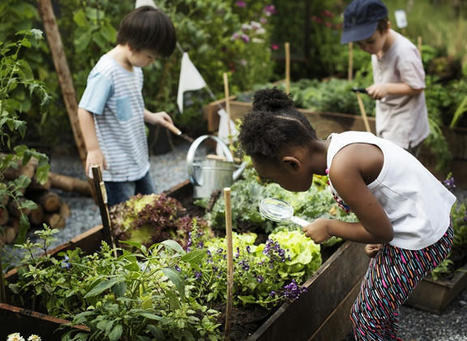Pairing Literacy Instruction With Project-Based Learning Is a Win for Students | Language Education:  Major Papers and Reports | Scoop.it