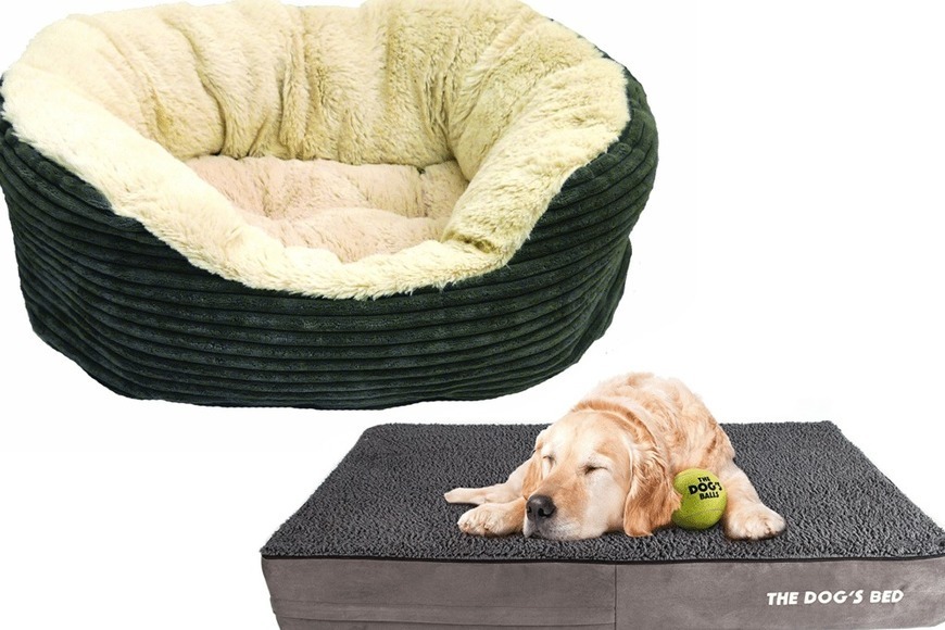 best washable dog beds