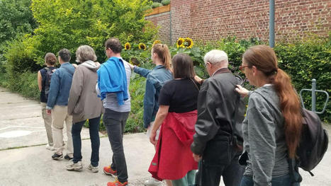 Lille : un atelier à la découverte des chauves-souris | Nature en ville | Scoop.it
