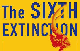 The Sixth Mass Extinction Is Upon Us - Shocking Loss of Life | BIODIVERSITY IS LIFE  – | Scoop.it
