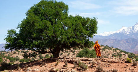 «22-M», un nouveau média dédié «aux actualités constructives» des pays du pourtour méditerranéen | Biodiversité | Scoop.it