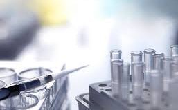 Projet de loi de bioéthique : création d’embryon chimère (art.17) | Bioéthique & Procréation | Scoop.it