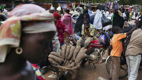 NIGER : une situation économique difficile, mais un pays résilient | AFRIQUES | Scoop.it
