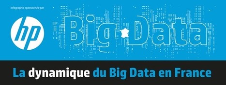 Une infographie pour comprendre la dynamique du Big Data en France | L'utilisation du "Big Data" dans les services publics, quelles modalités et quels enjeux ? | Scoop.it