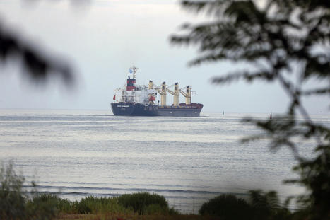 Grain ship carrying wheat for Ethiopia departs from Ukraine - Egypt Independent | Agriculture et Alimentation Durable Méditerranéenne | Scoop.it