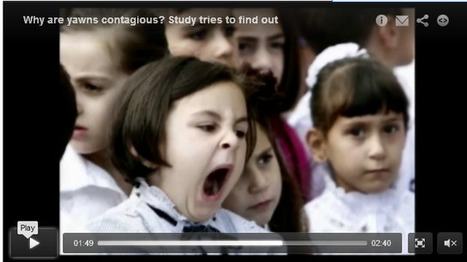 Why is a yawn contagious? Study tries to find out | Empathy Movement Magazine | Scoop.it
