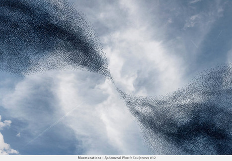 Alain Delorme: Murmuration | Art Installations, Sculpture, Contemporary Art | Scoop.it