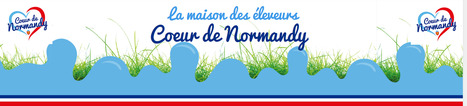 Coeur de Normandy, le site | Lait de Normandie... et d'ailleurs | Scoop.it