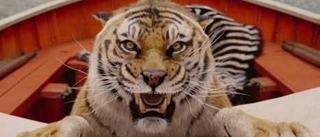 How Mathematical Research Is Making the Life of Pi Tiger Even Better | Science News | Scoop.it