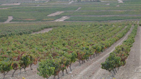 Los municipios DO Rioja difícilmente estarán en la presentación ante la Unesco | Ordenación del Territorio | Scoop.it