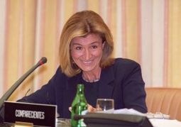 El fontanero y el fraude fiscal, Soledad Gallego-Díaz | Diari de Miquel Iceta | Scoop.it