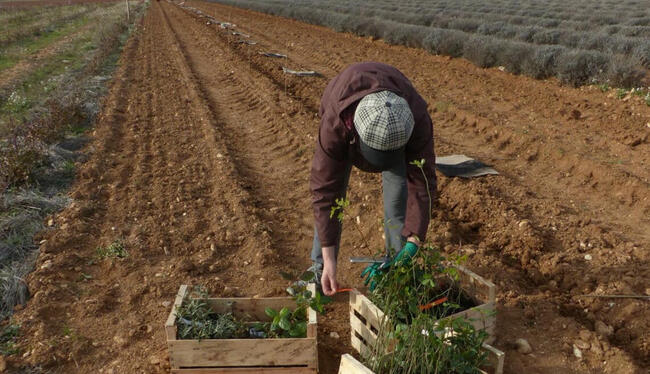 Changer l’agriculture : des programmes qui en disent long