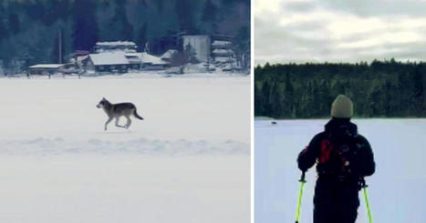 Suomen Pankki Varoittaa Taantuman Pahenemisesta...