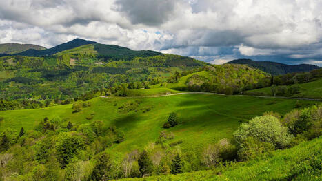 Les Vosges face au surtourisme: nature et biodiversit&eacute; en danger | L'essentiel | La SELECTION du Web | CAUE des Vosges - www.caue88.com | Scoop.it