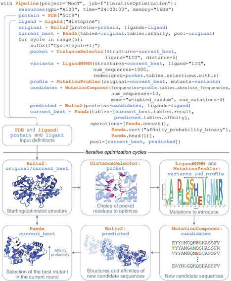BioPipelines: Accessible Computational Protein and Ligand Design for Chemical Biologists | csb | RMH | Scoop.it