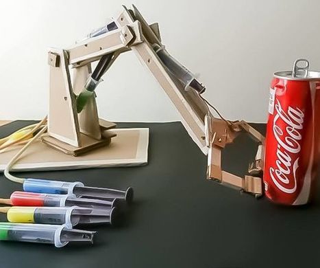CARDBOARD Robotic Hydraulic Arm: 16 Steps (with Pictures) | tecno4 | Scoop.it