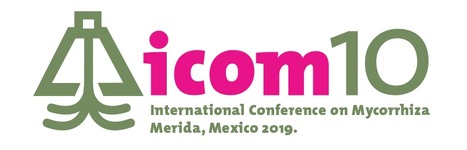 International Conference on Mycorrhizae, ICOM 10  Mérida, Mexico June 30-July 5, 2019 | Plant Conferences | Scoop.it