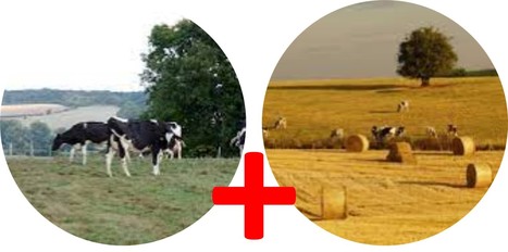 Réassocier cultures et élevages au niveau territorial : une nécessité agroécologique | Lait de Normandie... et d'ailleurs | Scoop.it