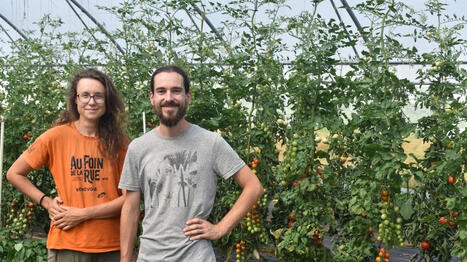 &laquo; Il va falloir repenser nos syst&egrave;mes &raquo; : en Mayenne, ce couple de mara&icirc;chers bio vit un &eacute;t&eacute; compliqu&eacute; avec la canicule - Ouest France [Abonn&eacute;s] | Agriculture en Pays de la Loire | Scoop.it