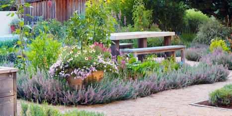 How to Make Your Garden Less Work | Best Backyard Patio Garden Scoops | Scoop.it