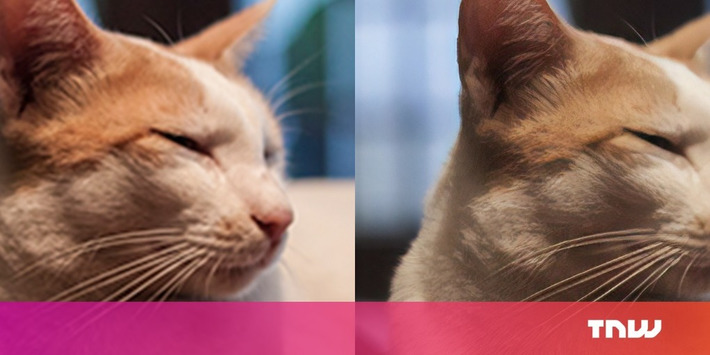 #letsenhance site uses #machineLearning to enhance your low-res photos for free | WHY IT MATTERS: Digital Transformation | Scoop.it