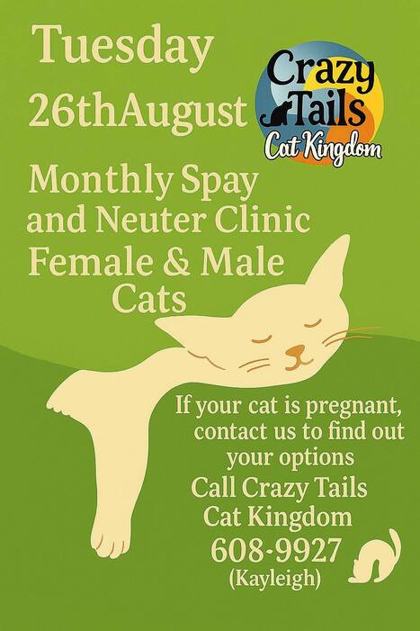 Crazy Tails August 2025 Neuter Clinic 2 | Cayo Scoop!  The Ecology of Cayo Culture | Scoop.it