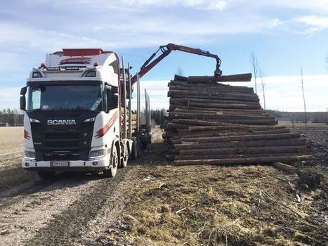 Kaupallinen yhteistyö Scania: Metsä on Suomen selkäranka - wc-paperikin lähtee metsästä | 1Uutiset - Lukemisen tähden | Scoop.it