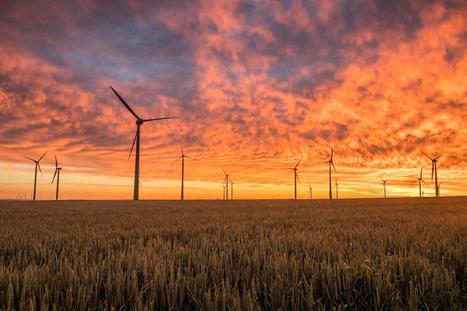 Sustainability Isn't Stopping: Just Ask These Companies | Sustainability Science | Scoop.it