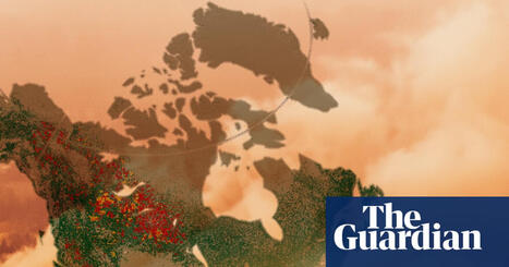 Mapped: how the world is losing its FORESTS to wildfires&nbsp; | CIHEAM Press Review | Scoop.it
