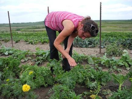 Petits producteurs, marchés fermiers: le nouveau visage de l'agriculture américaine | Economie Responsable et Consommation Collaborative | Scoop.it