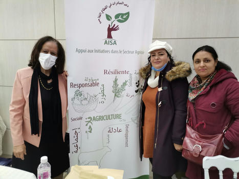 TUNISIE : Le potentiel infini des FEMMES rurales tunisiennes | CIHEAM Press Review | Scoop.it
