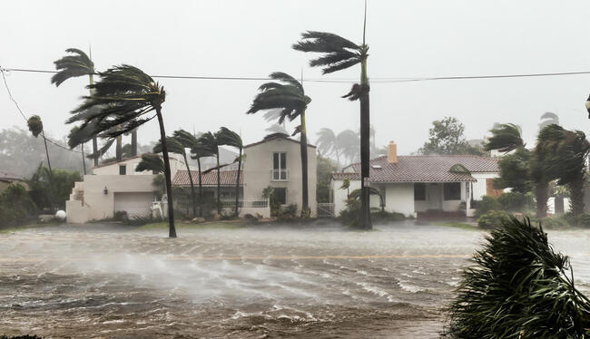 Réchauffement climatique : les ouragans pourraient faire des ravages en 2024