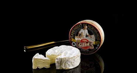 La fromagerie Gillot plaide pour la transparence | Lait de Normandie... et d'ailleurs | Scoop.it