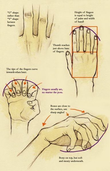 Drawing Reference | Drawing References and Resources | Scoop.it