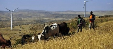 Afrique-Climat - L'Ethiopie ouvre le bal du financement du Fonds Spécial Clim-Dev | Actualités Afrique | Scoop.it