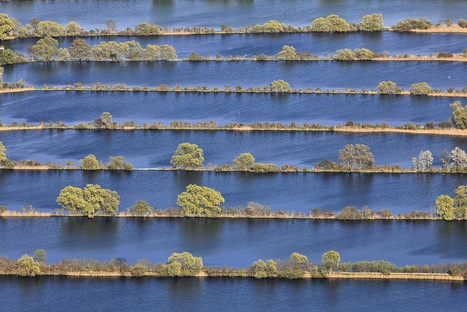 Fish Ponds | Flickr - Photo Sharing! | Reflejos | Scoop.it