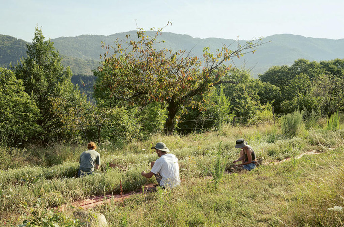Vers un tourisme qui soigne les territoires et les liens humains – Revue Hémisphères | Tourisme durable | Scoop.it