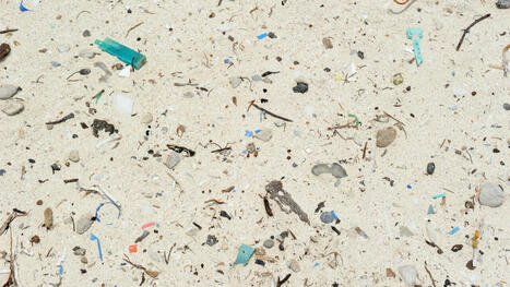 Microplastiques, nanoplastiques: quels effets sur la&nbsp;sant&eacute;&nbsp;? | Biodiversit&eacute;, &Eacute;cologie et Environnement | Scoop.it