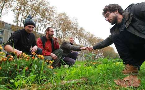 Dax : un jardin sauvage et partagé en bord d’Adour | Paysage - Environnement | Scoop.it