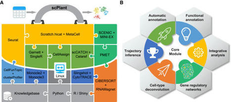 scPlant: A versatile framework for single-cell transcriptomic data analysis in plants | Plant-Microbe Symbiosis | Scoop.it