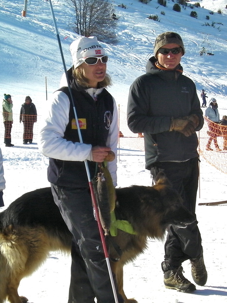 Chiens de montagne en vallée du Louron le 26 février | Vallées d'Aure & Louron - Pyrénées | Scoop.it