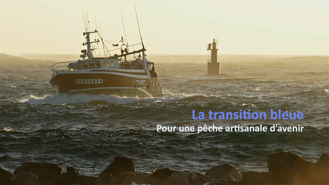 Pétition: La transition bleue, pour une pêche côtière artisanale d'avenir | 16s3d: Bestioles, opinions & pétitions | Scoop.it